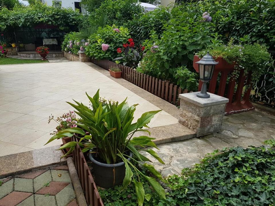Villa Diana Apartments بوريتش المظهر الخارجي الصورة